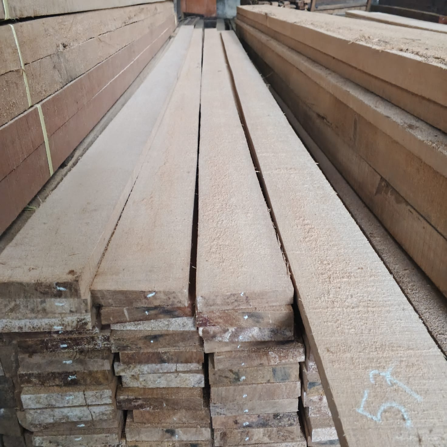 Kayu kamper