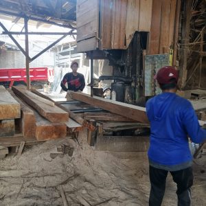 Supplier Kayu Jakarta - Pabrik kayu